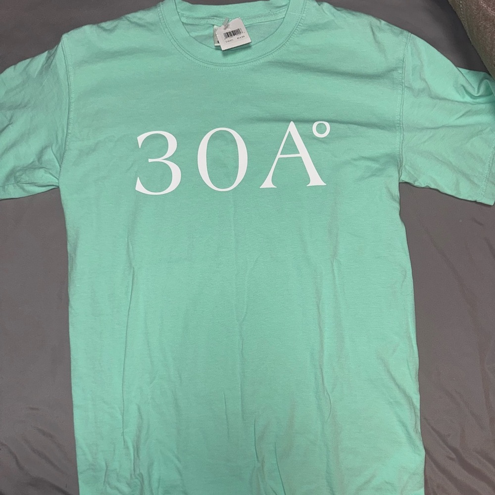 Comfort Colors 30A° Light Green Tee
